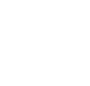 Icono seguro disponible 3